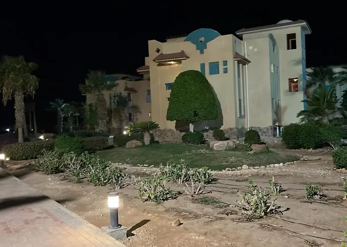 & Roof With Red Sea View Apartment